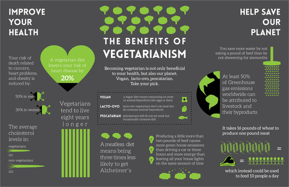 vegetarian infographic